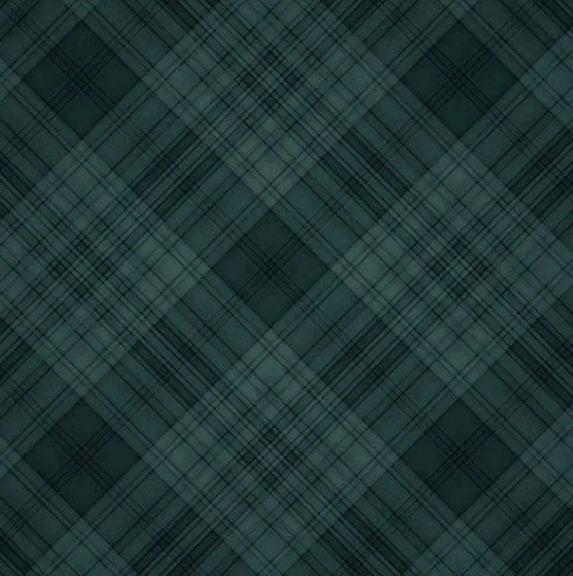 Narumi 🧚‍♂️の掲載