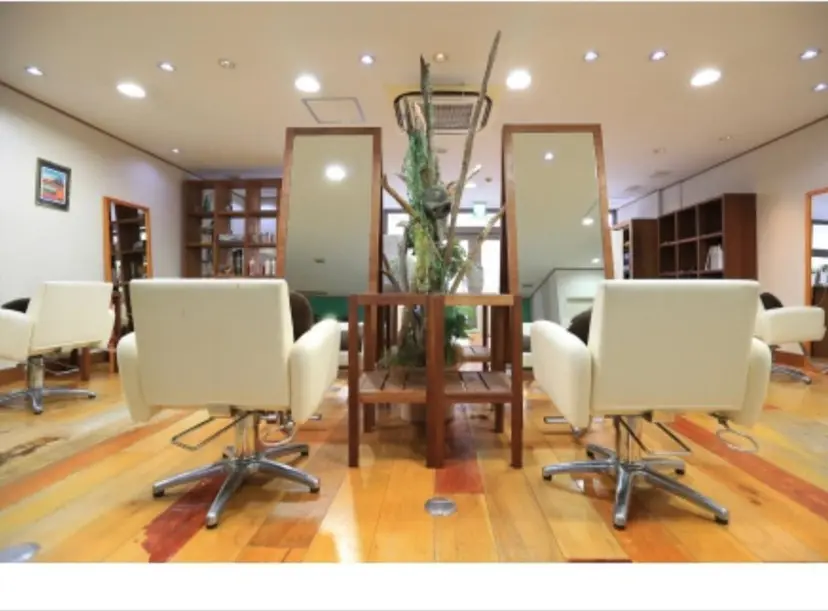 dealers カルロスの掲載