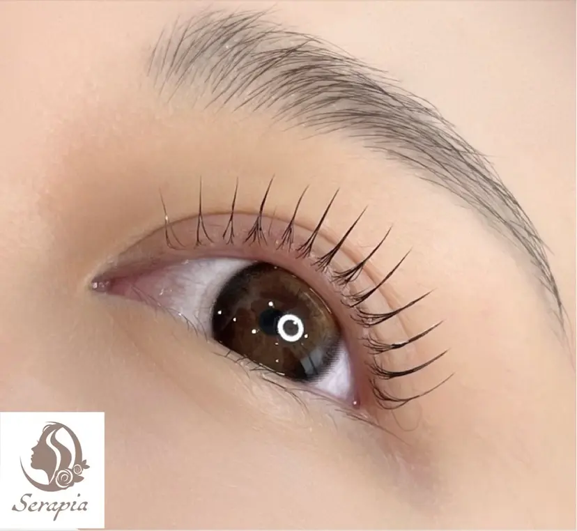 Serapia 【セラピア】の掲載