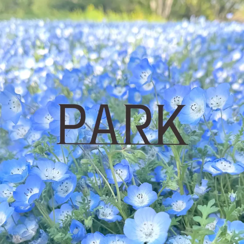 艶髪カラー/レイヤー 🐣kokoro🌸の掲載