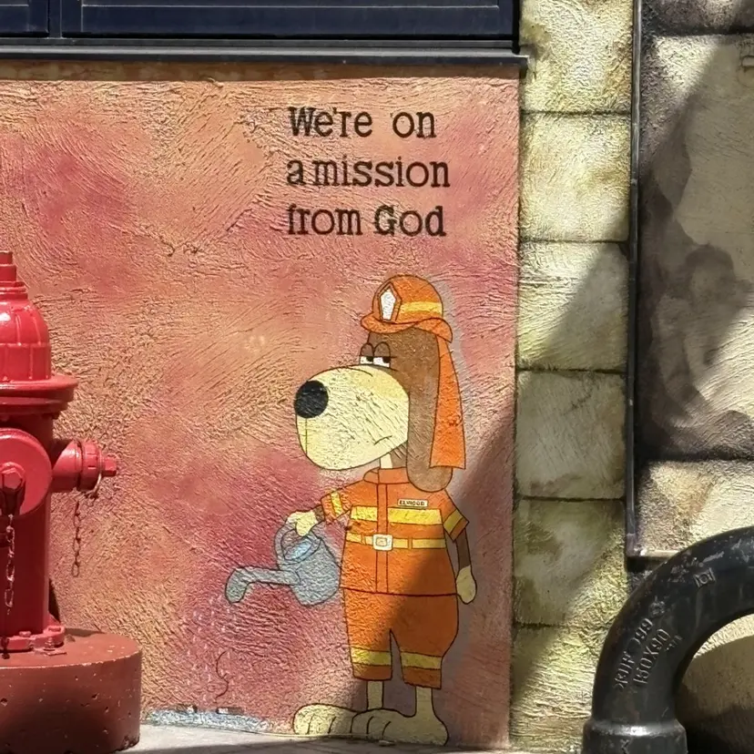 🫟ツ カ🫟の掲載