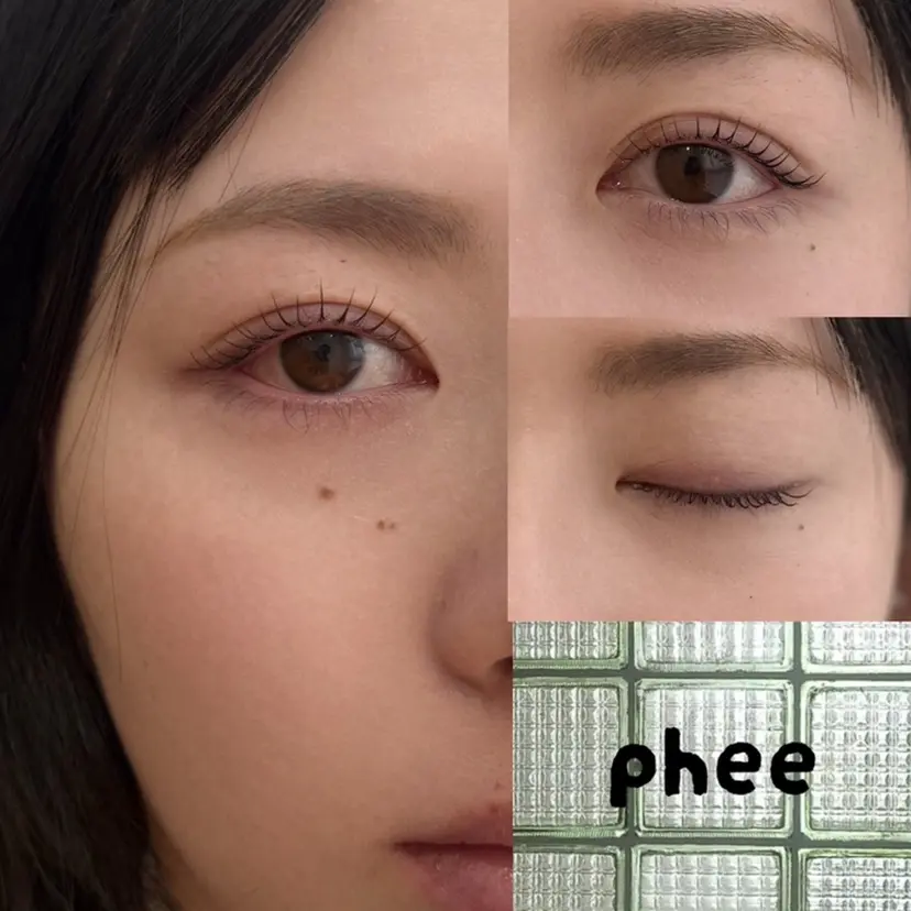 phee フィーの掲載