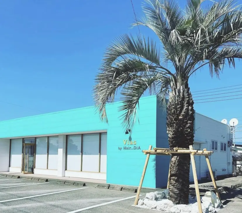 中嶌 健一の掲載