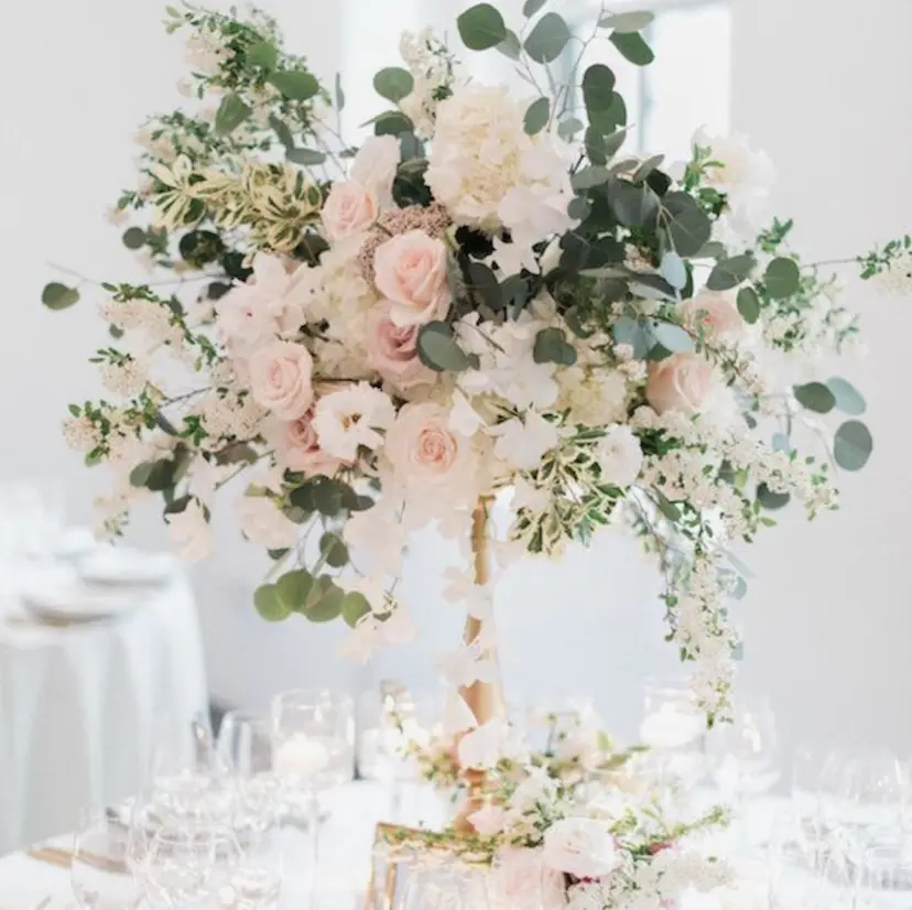 Saito Mayumiの掲載