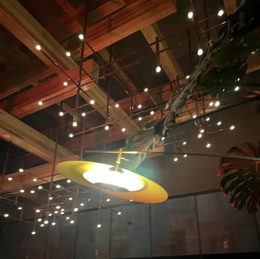 伊藤 心良の掲載