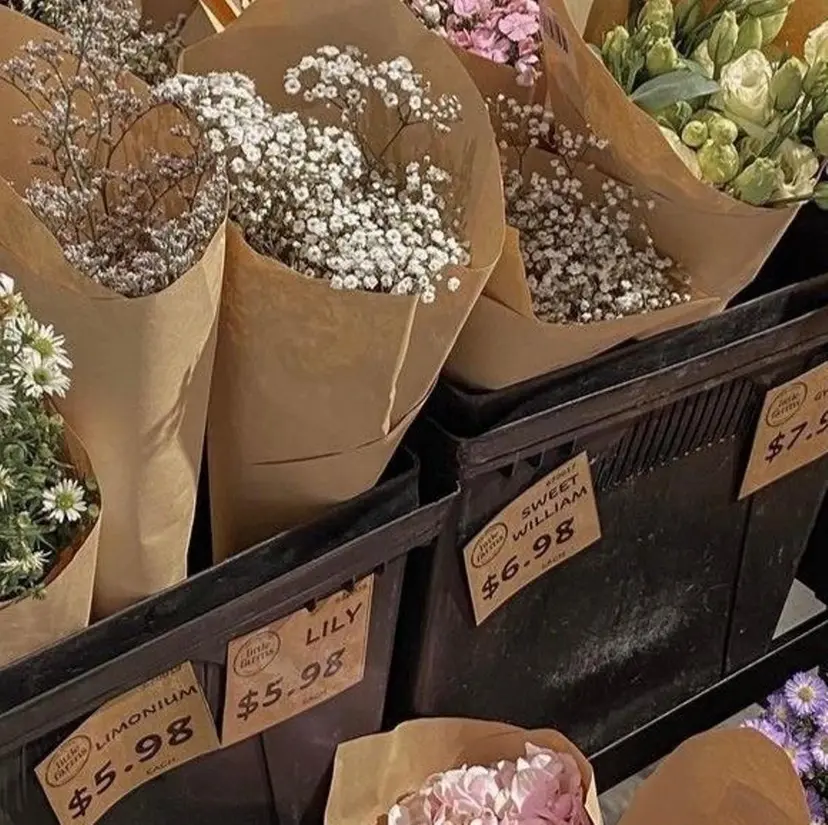 小竹 夏花の掲載