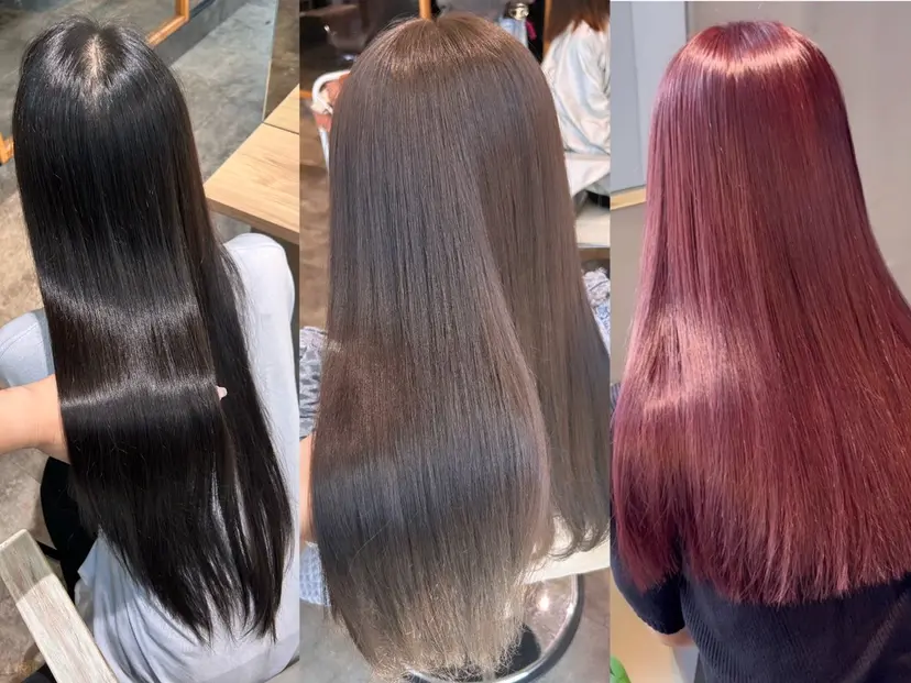 堤 麻衣子の掲載