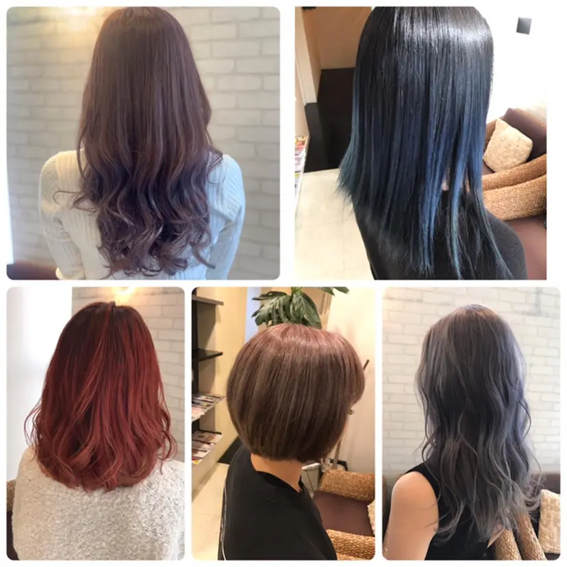 山本 真緒の掲載