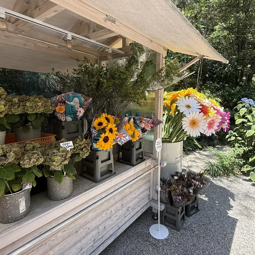 ねいろ /カラーモデル募集中の掲載