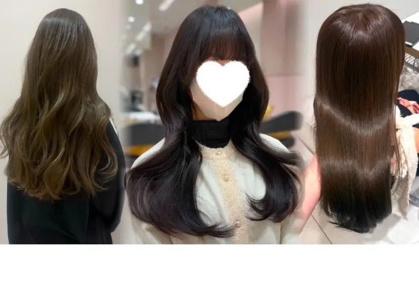 内田 志乃の掲載