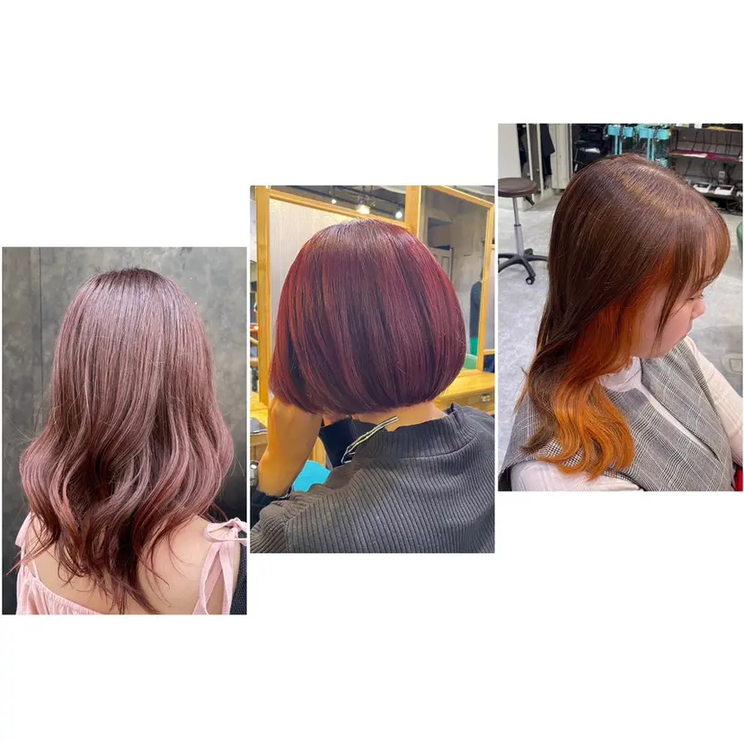 照井 美桜の掲載