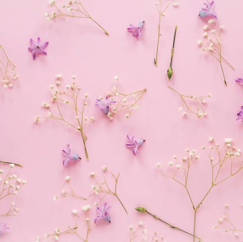 MAQUIA奥州水沢 🐥sato🐥の掲載