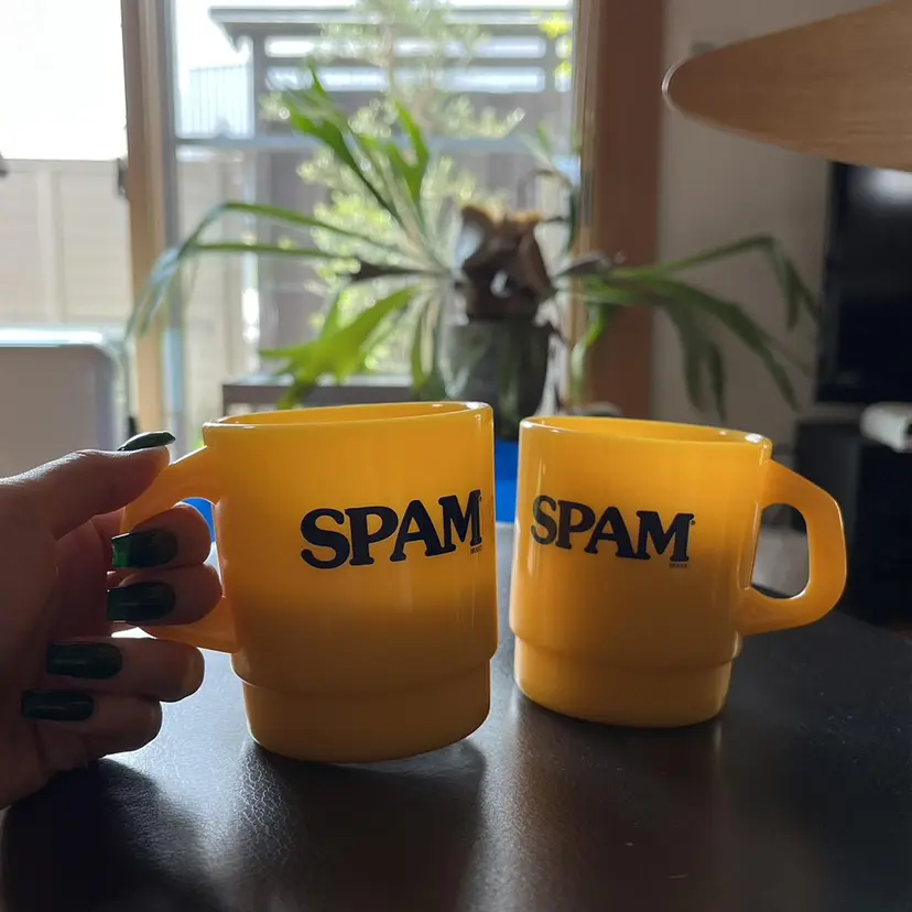 山口 モエの掲載