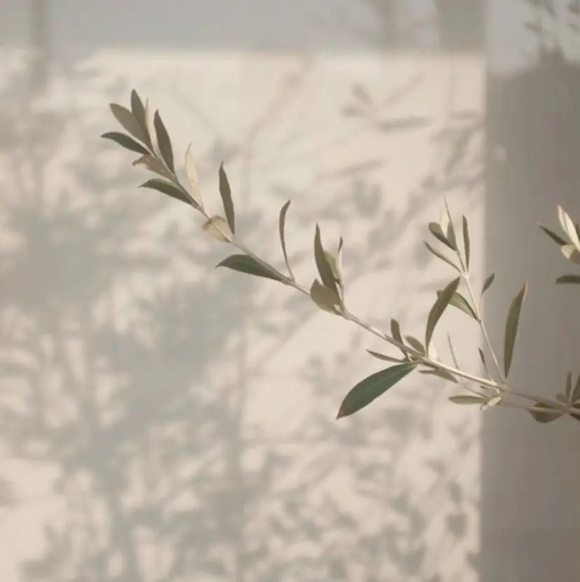 🥑ROAR🥑 RIRIKAの掲載