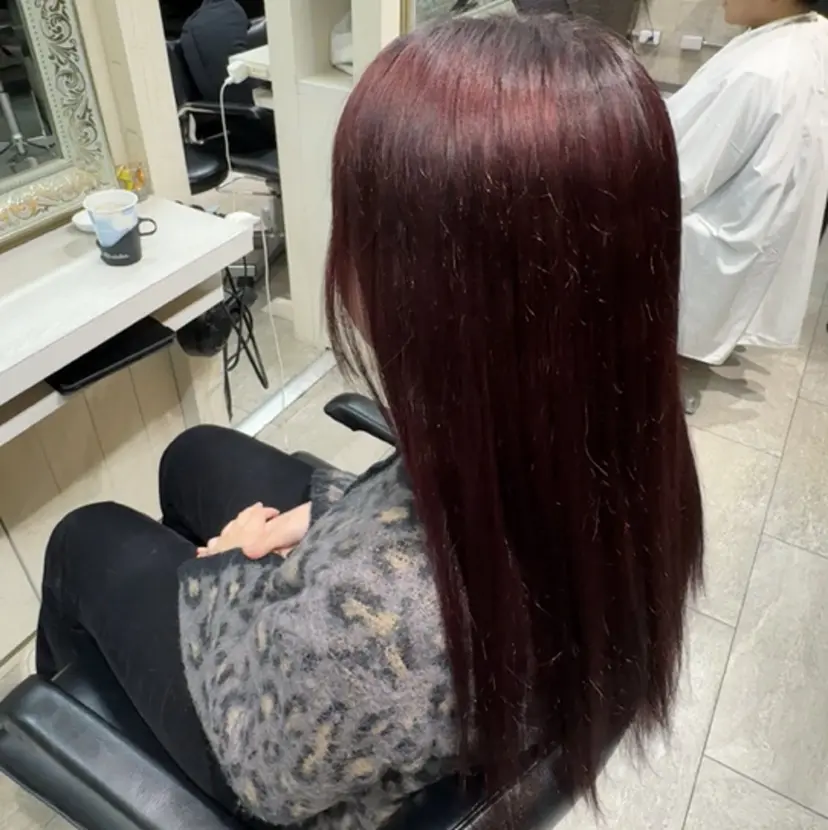 平野 世菜の掲載