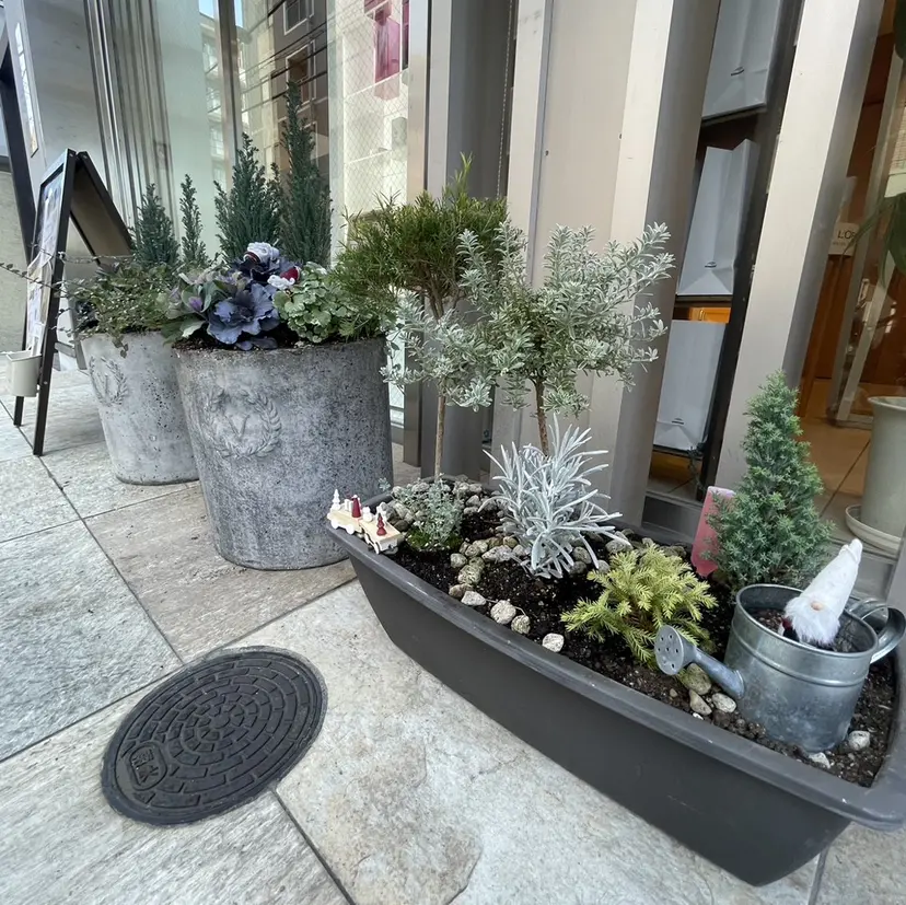 本多 美羽の掲載