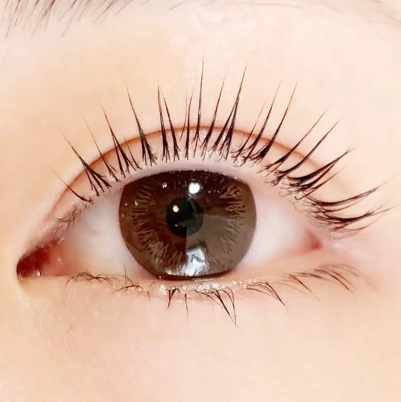 LIKO eyelashの掲載