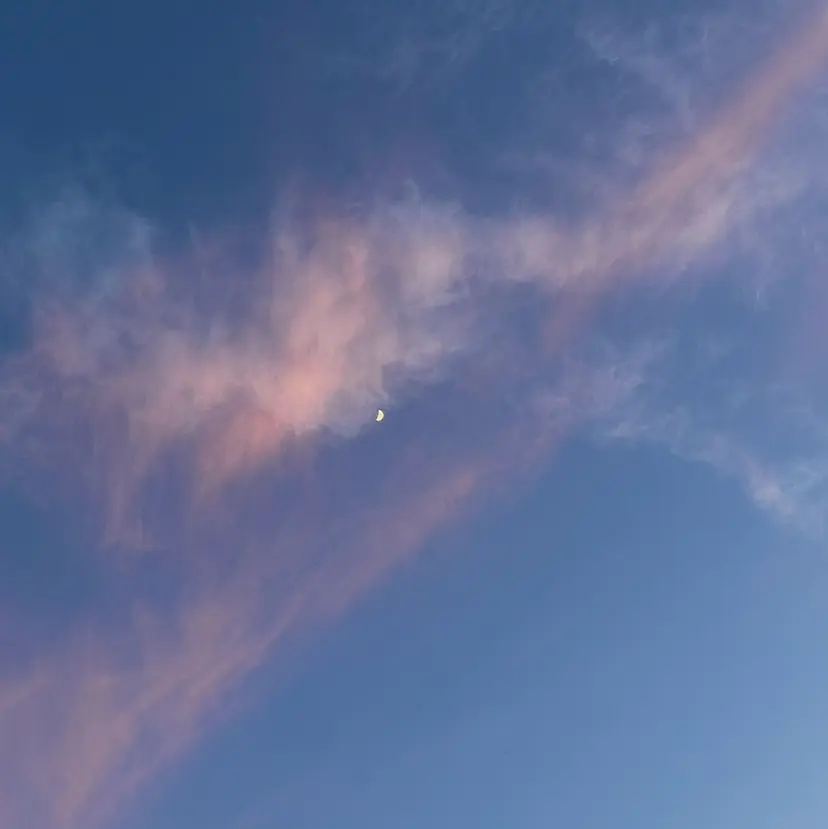 松尾海奈 /ショートカットの掲載