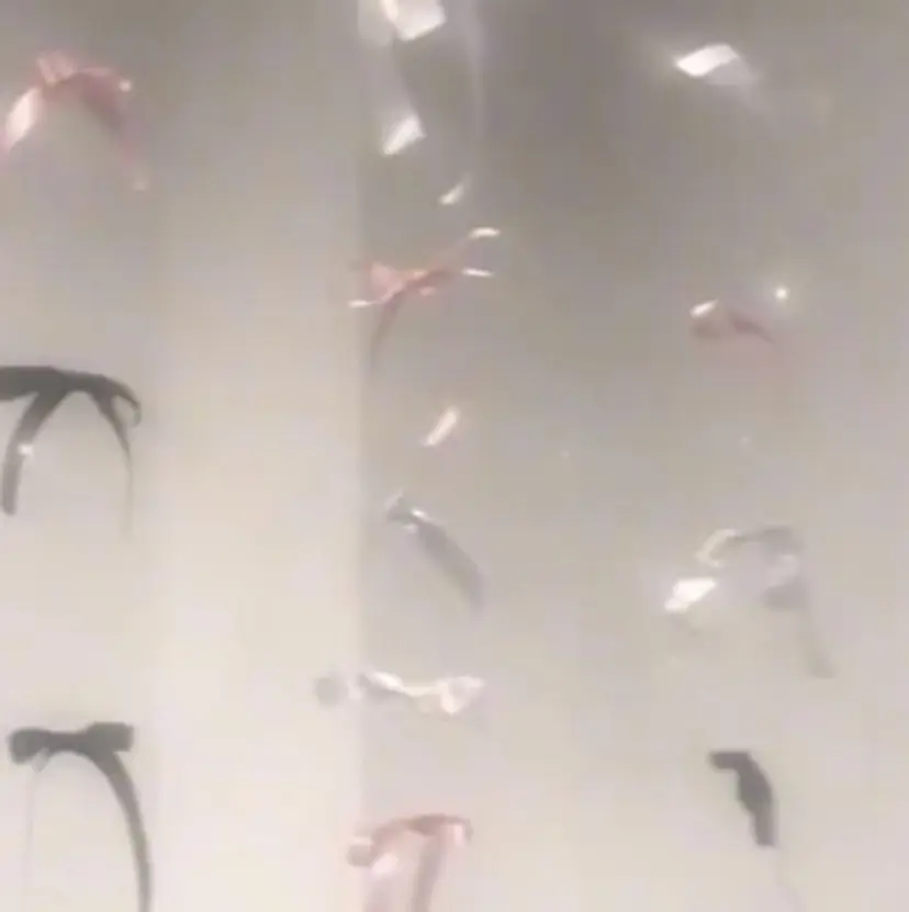 畠山 瑠花の掲載