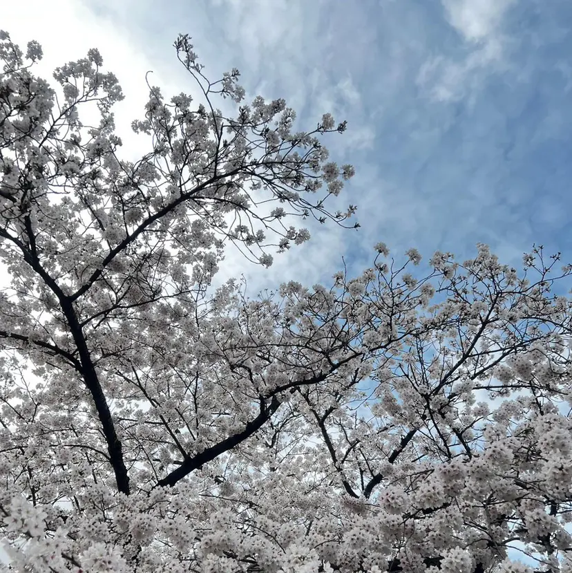 アイブロウ/ネイル Tomoの掲載