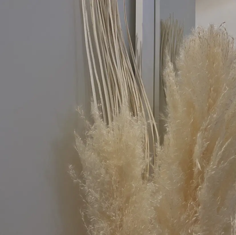 Babe's Nailの掲載