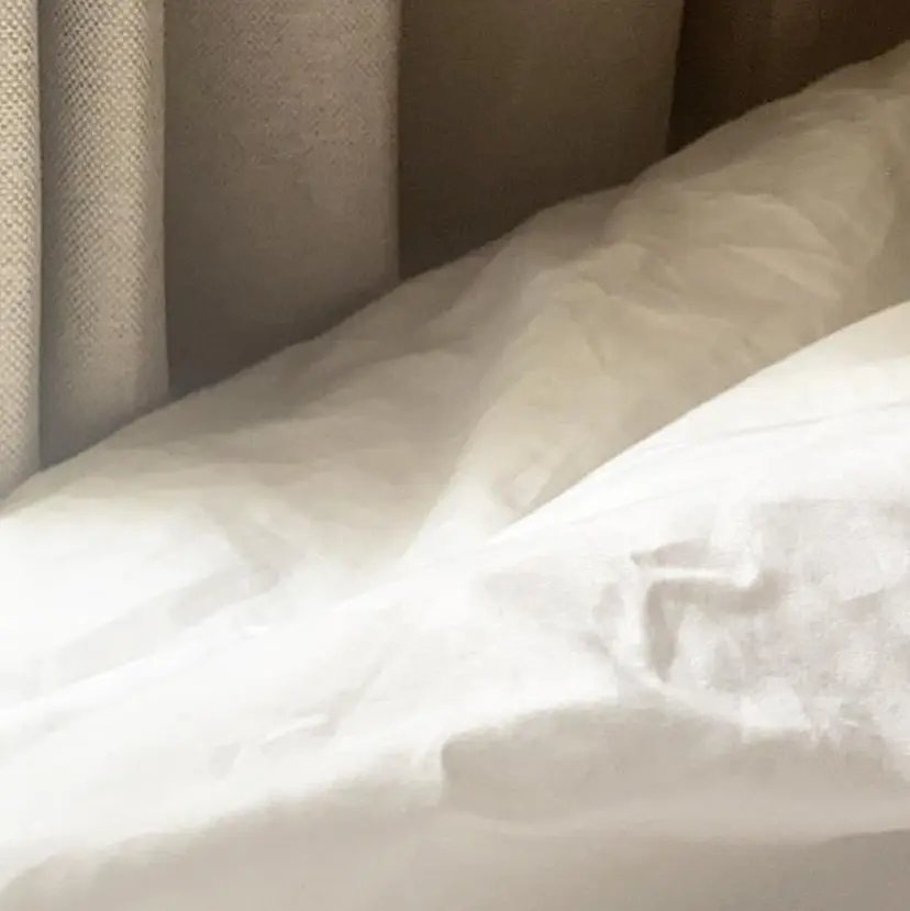 watanabe mioの掲載