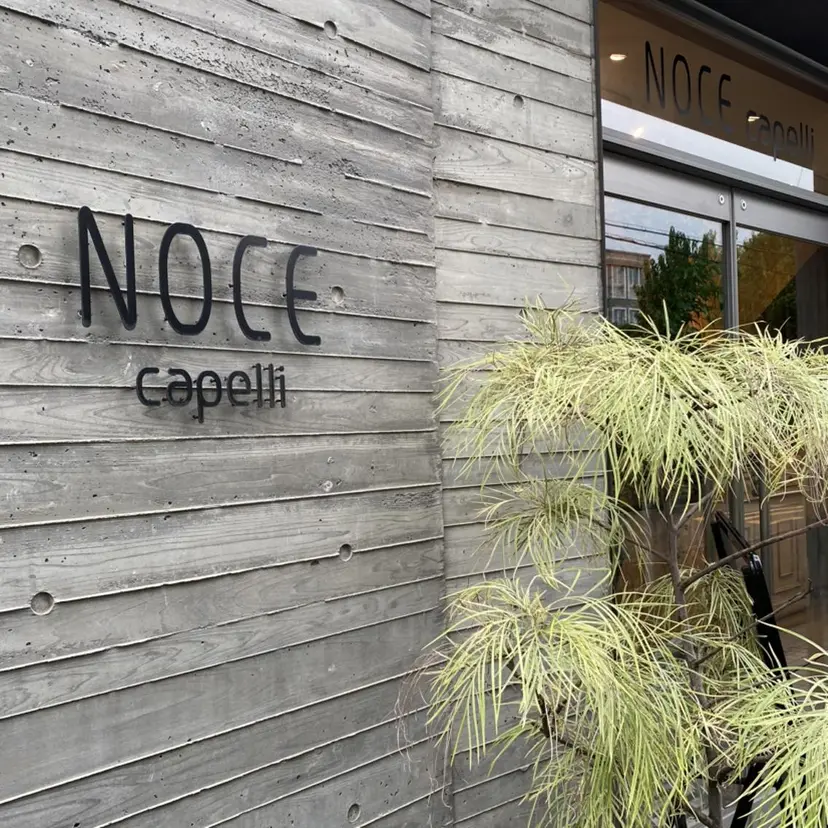 NOCE✂︎ 大平の掲載