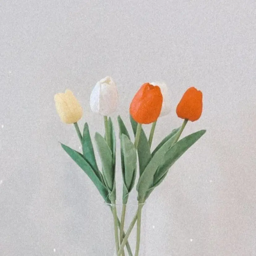 鈴木 志保の掲載