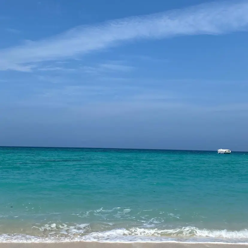 髪質改善 /市村 優音の掲載