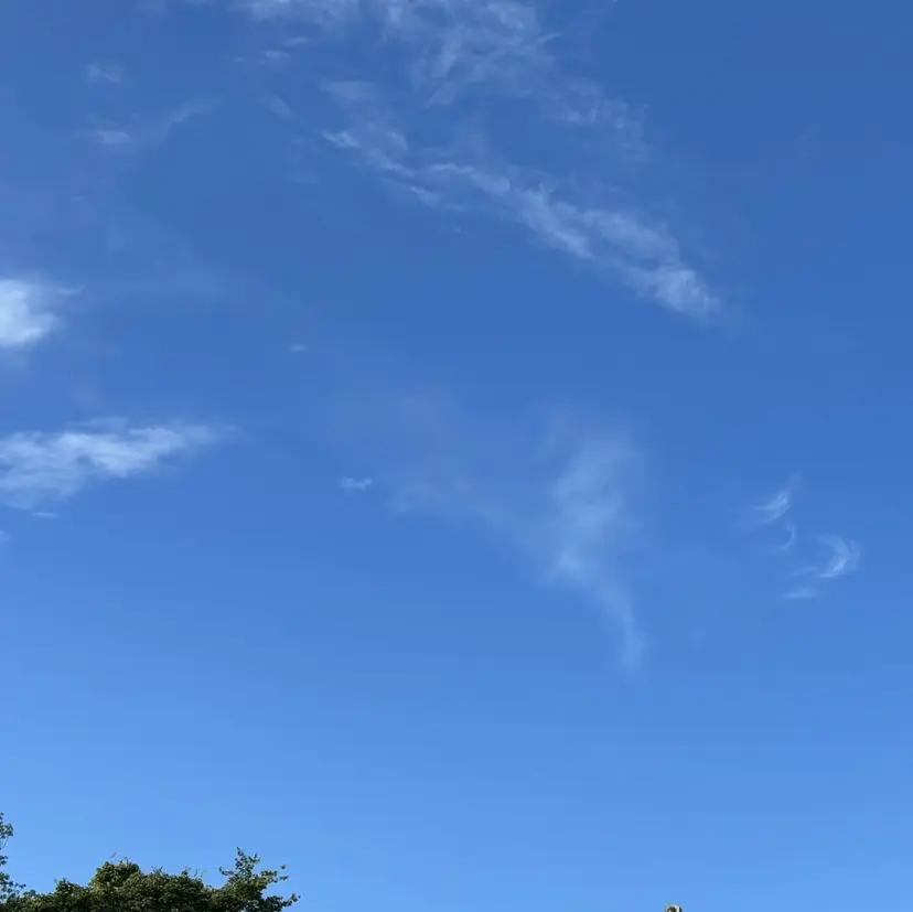 ステラマリス 岸田の掲載