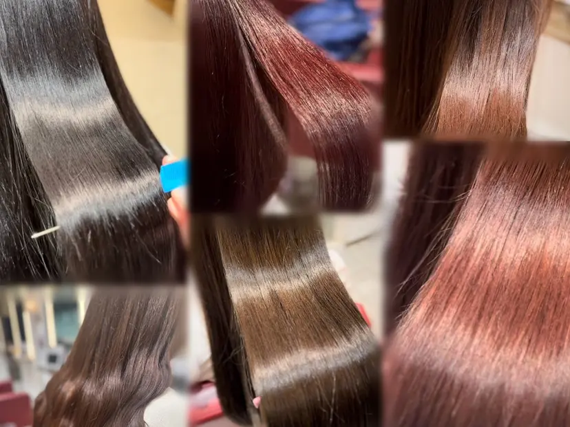 中村 彩菜の掲載