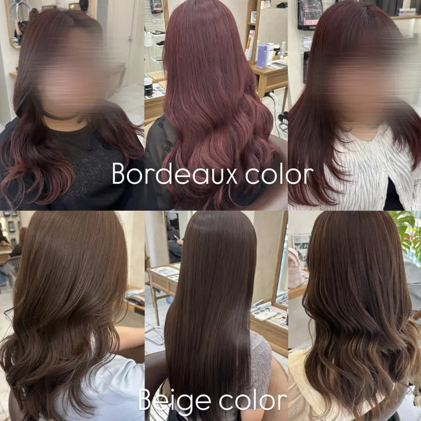 暖色カラー/ブリーチ なしカラー/艶カラーの掲載