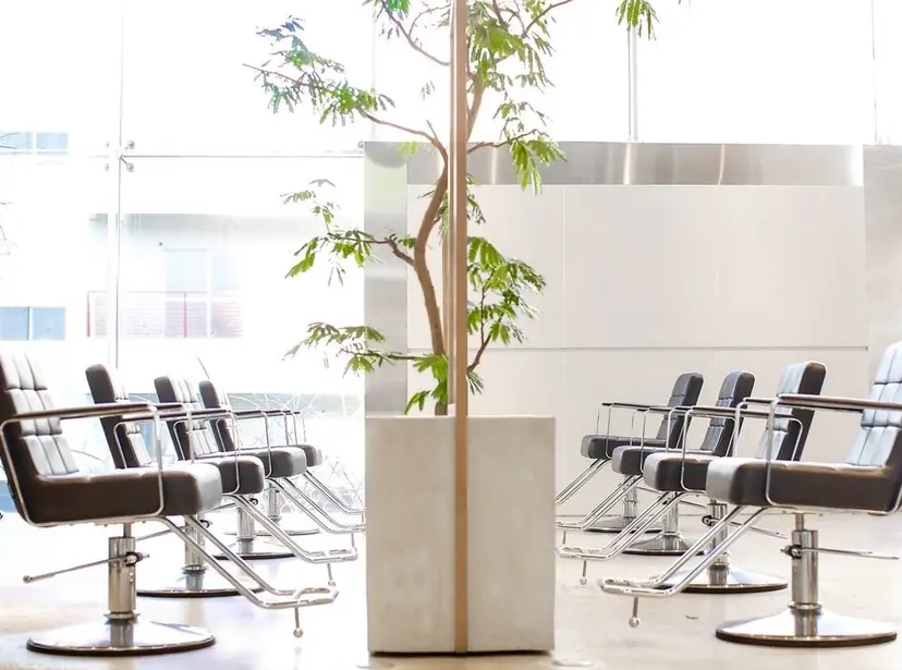 Ayaka ／ショート／パーマの掲載