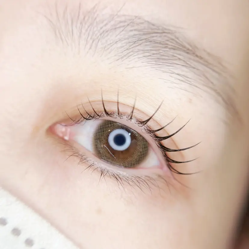 es design shionの掲載