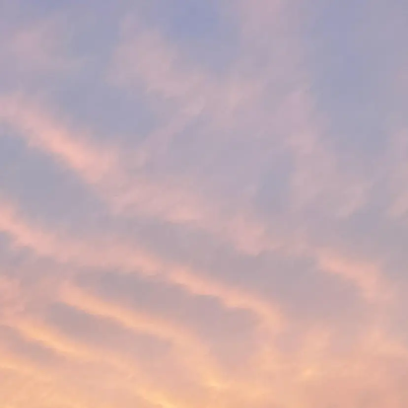 BUNNY EYES 堀の掲載