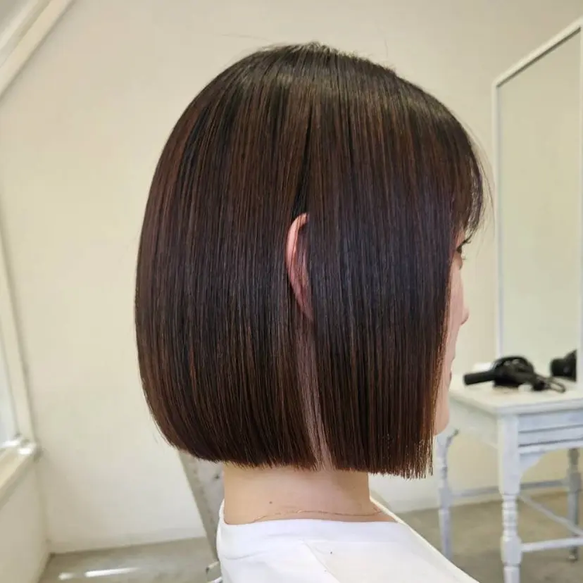 ボブカット/南 元治の掲載