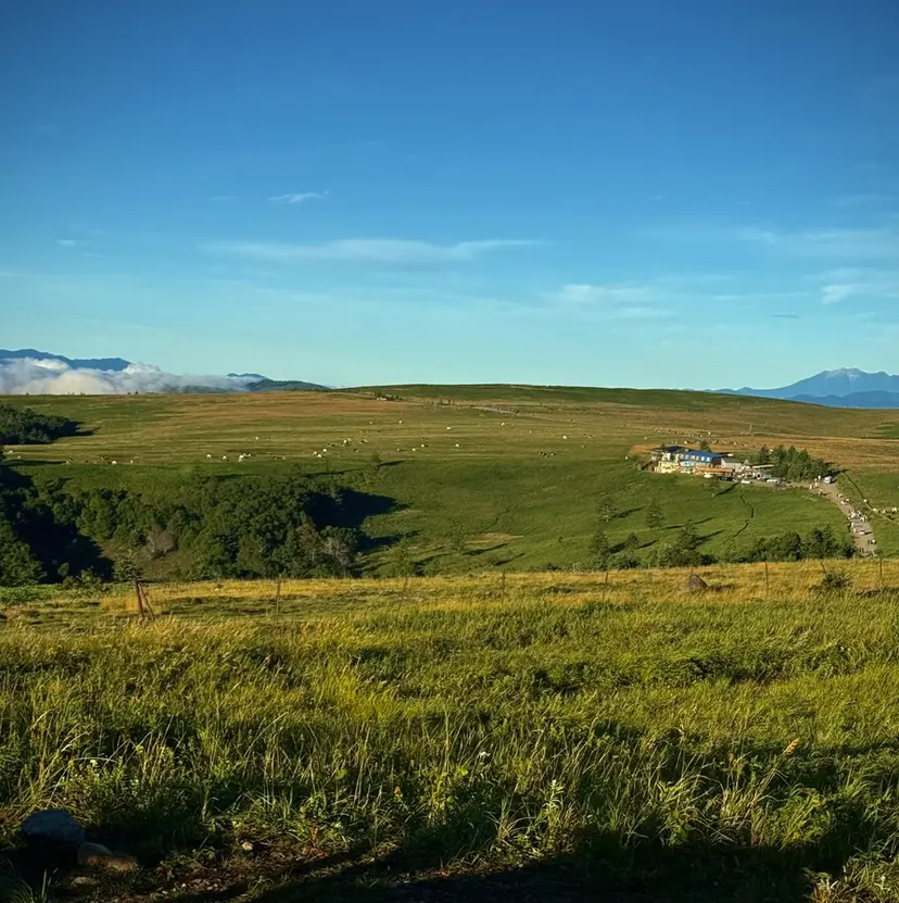 北村 隼規の掲載