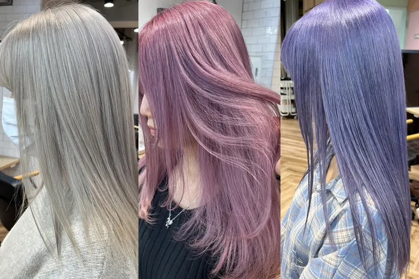 もり まりもの掲載