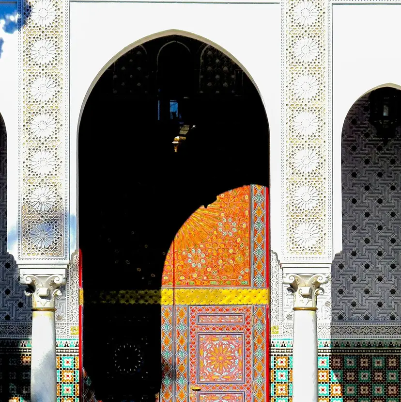 myriad omamiの掲載