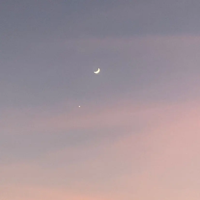 酒井 夢菜の掲載