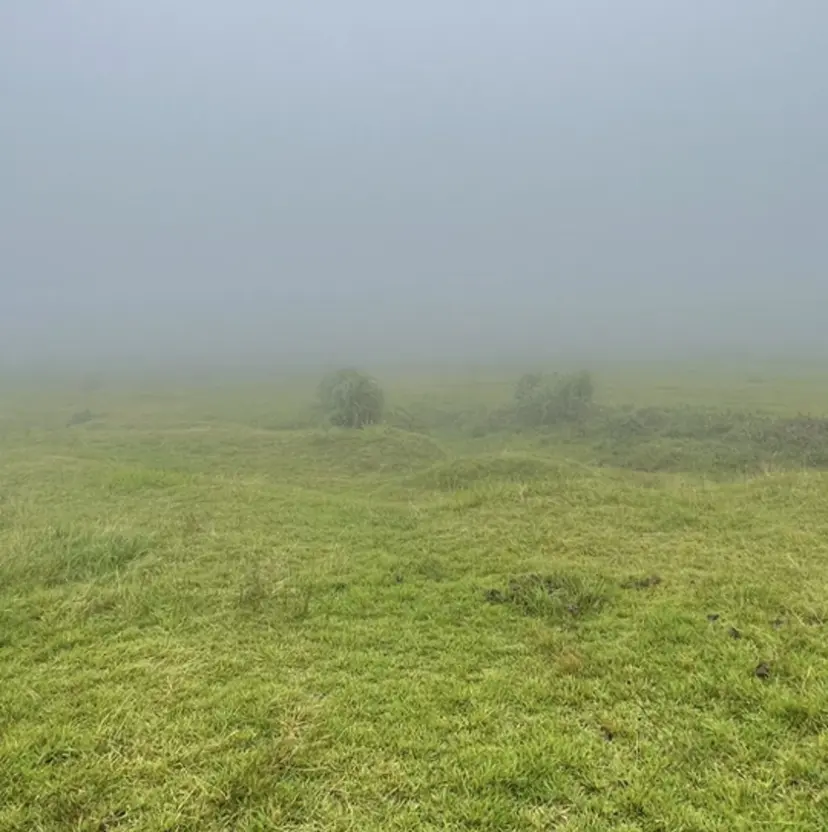 竹野光 /メンズモデル募集の掲載