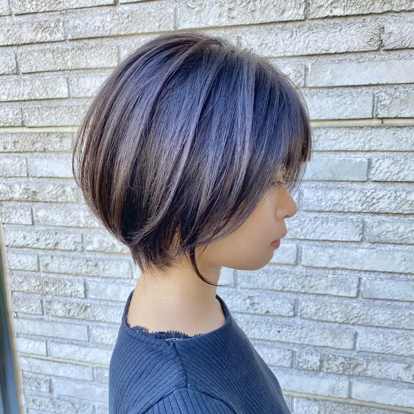 加藤 真介の掲載