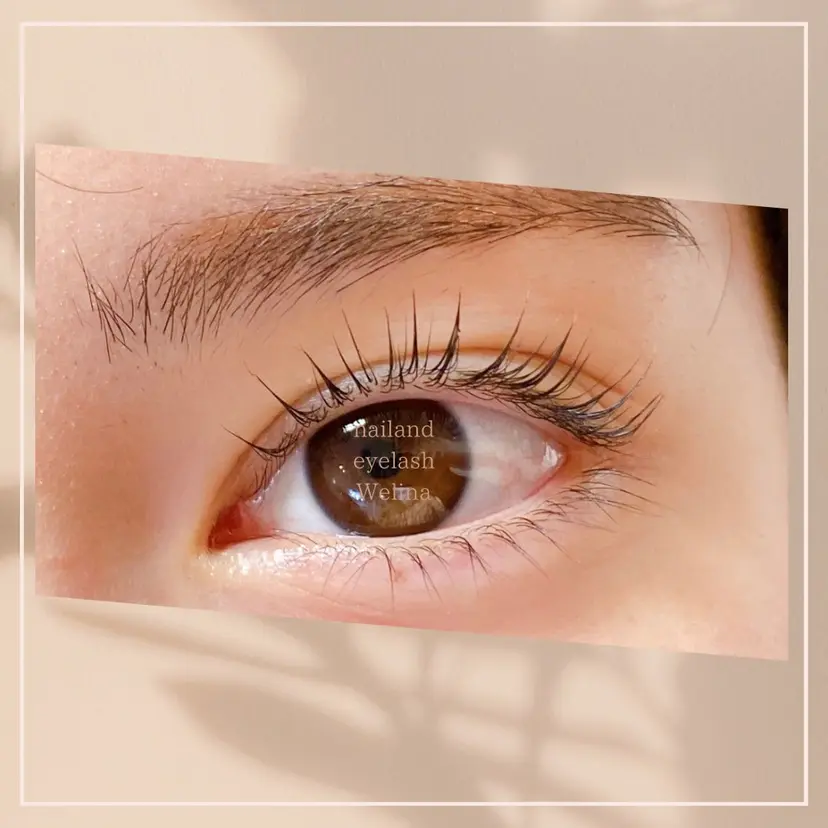 アイリスト Ai シェルウェリナ 船橋の掲載