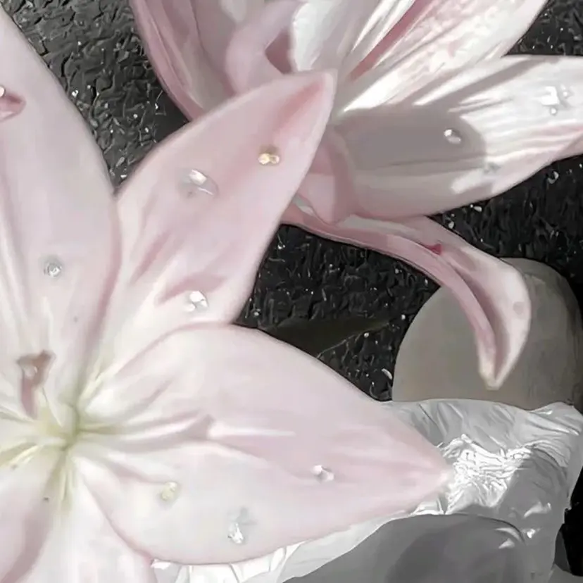 Hina ヒナの掲載