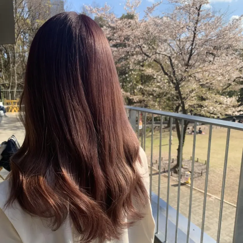 🌸加藤 彩🌸の掲載