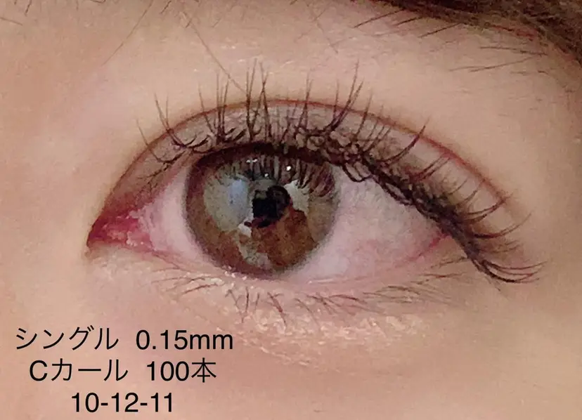 足立 琴音の掲載