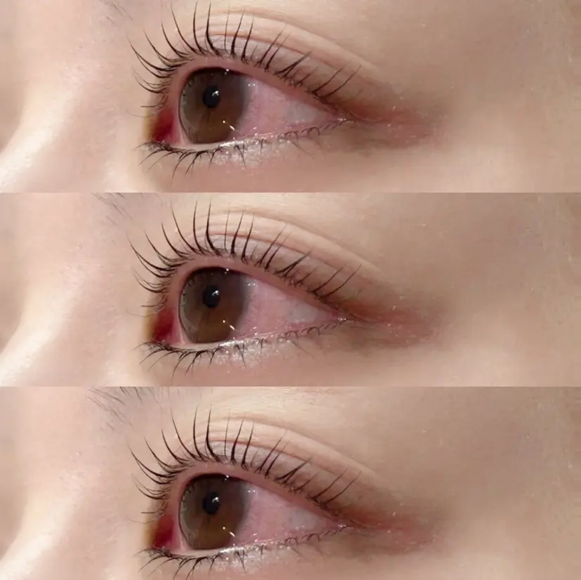 Frances Miyamotoの掲載