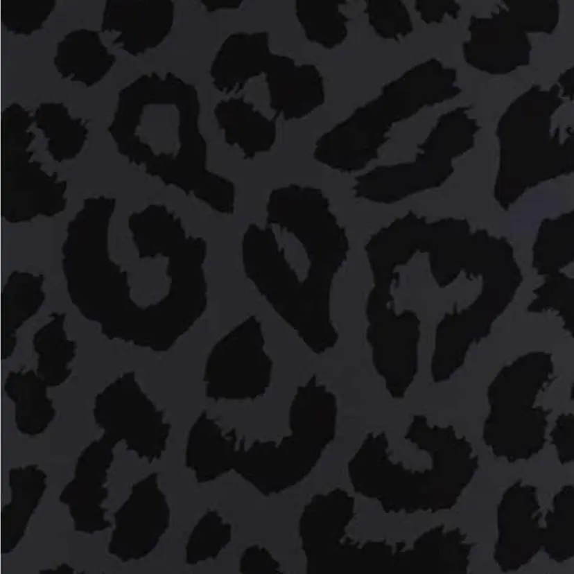 Belle tomomi🐩の掲載