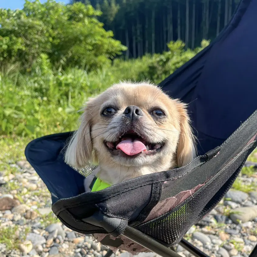 越川 友美子の掲載