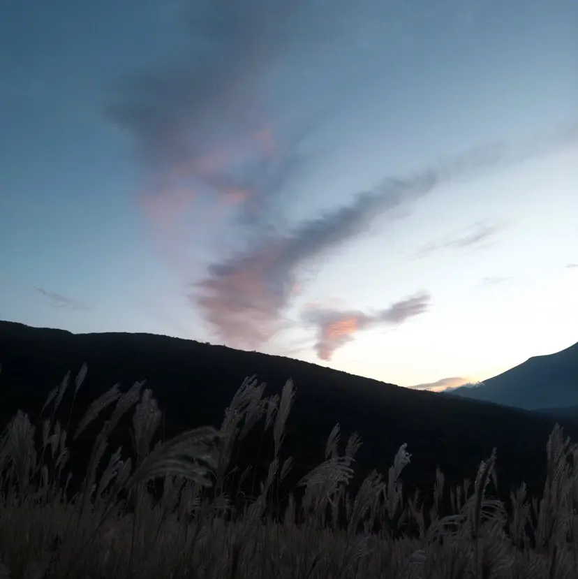 EYELA 🪐ホリモト🪐の掲載